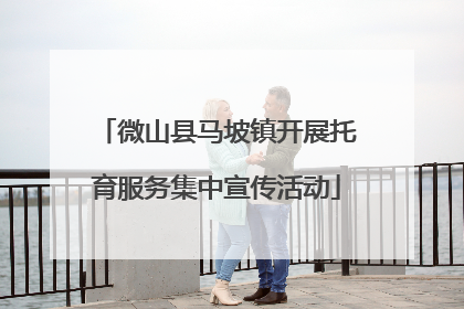 微山县马坡镇开展托育服务集中宣传活动
